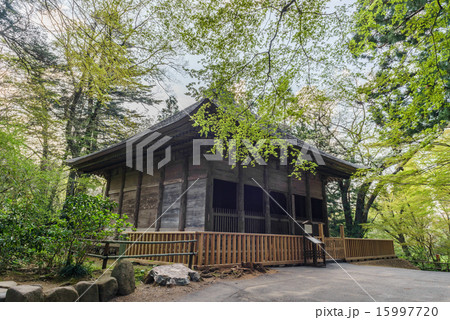 春の中尊寺の旧覆堂 15997720