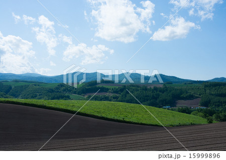 初夏の山並み 初夏の山並み 15999896