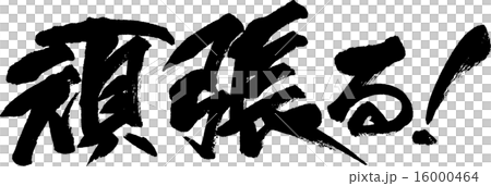 盡我所能 16000464