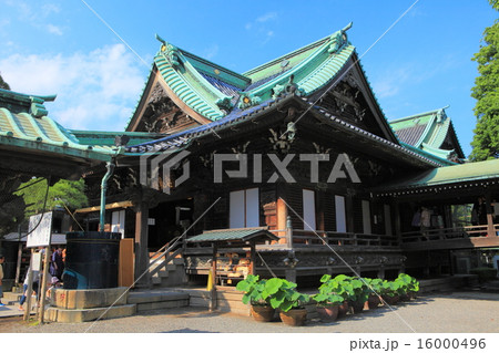 柴又帝釈天　帝釈堂 16000496