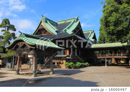 柴又帝釈天　帝釈堂 16000497