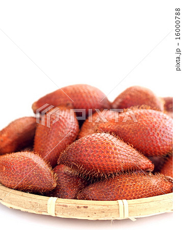 トロピカルフルーツ　サラク 16000788