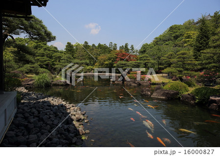 姫路城西御屋敷跡庭園　好古園 16000827