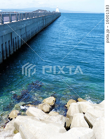 青森港の風景 16001383