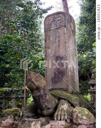 月照寺の大亀 16001823