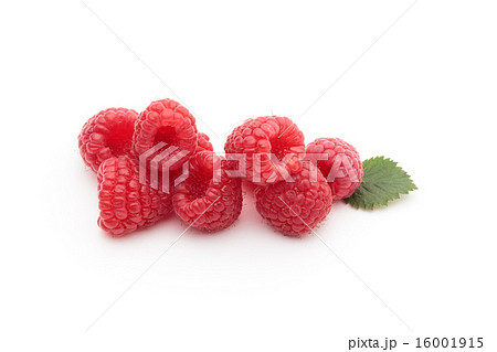 ラズベリー 16001915