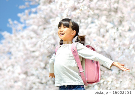 桜と小学生の女の子 16002551