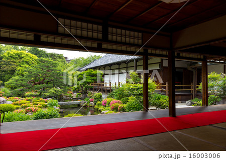 皐月の等持院 16003006