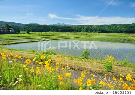 飯豊連邦遠景 16003152