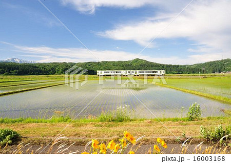 JR米坂線　越後下関駅付近 16003168