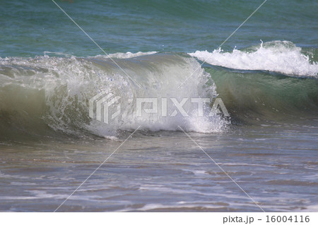 海 16004116