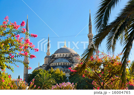 Blue mosque in Istanbul Turkey 16004765