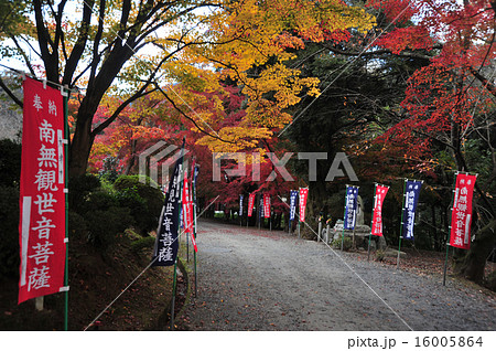 滋賀　三井寺の秋 16005864