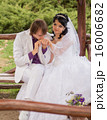 Couple love bride and groom posing sitting on wood 16006682