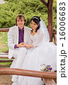 Couple love bride and groom posing sitting on wood 16006683