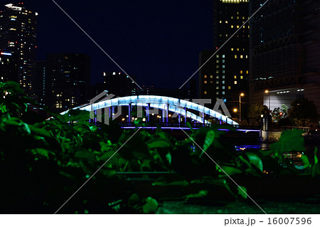 都会のオアシスBridge 都会のオアシスBridge 16007596