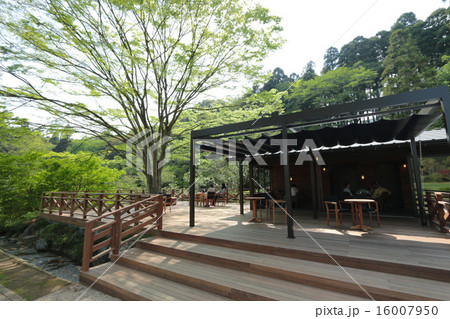 テラス席 16007950