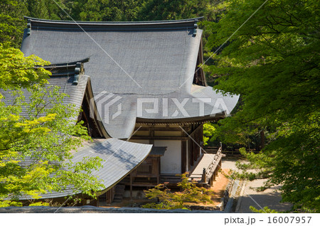 神護寺 神護寺 16007957