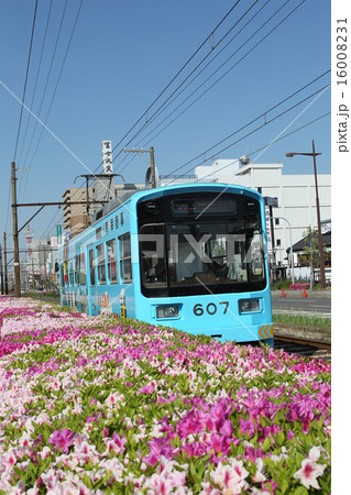 阪堺電鉄モ601形 16008231