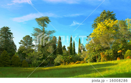 Green grass on a golf field Green grass on a golf field 16008286