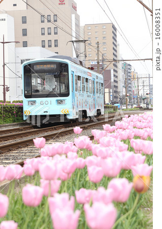 阪堺電鉄モ601形 阪堺電鉄モ601形 16008351