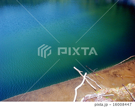 ダムの水辺 ダムの水辺 16008447