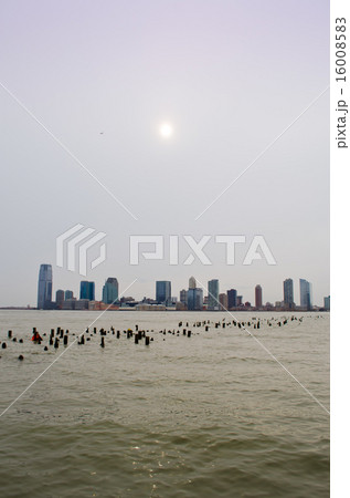 New York 16008583