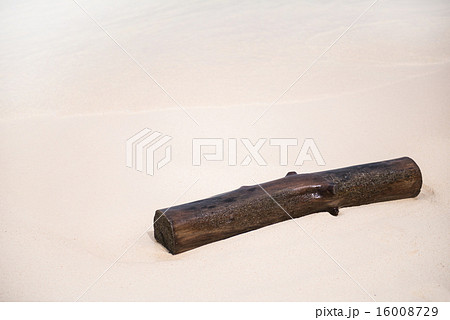 Old piece of wood on the beach 16008729
