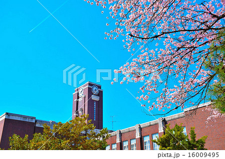 京都大学 京都大学 16009495