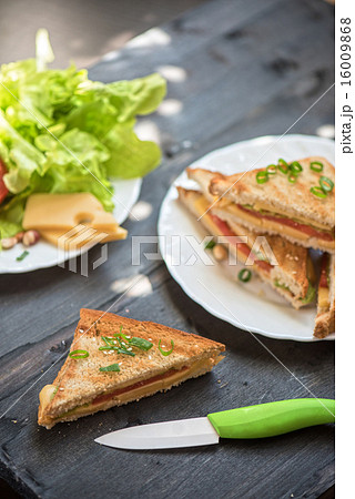 Cheese sandwich 16009868