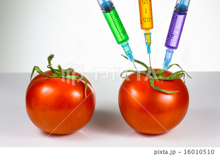 Genetic modification 16010510