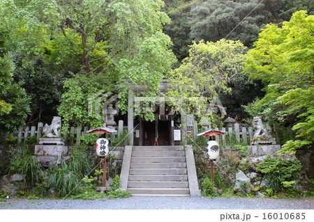 京都 大豊神社 京都 大豊神社 16010685