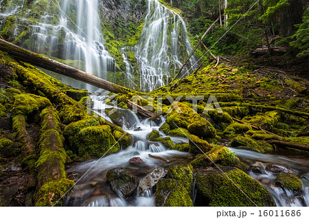 Beautiful proxy falls in Oregon forest 16011686