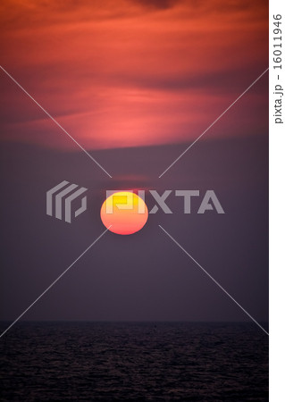 夕日 16011946