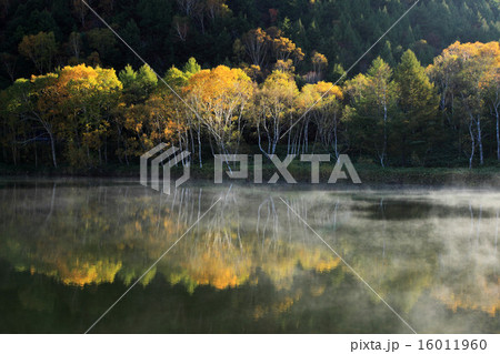秋の朝の志賀高原木戸池 16011960