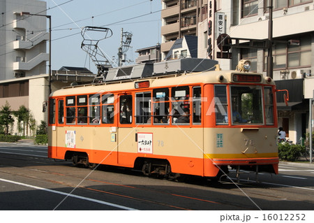 伊予鉄道：松山市内線／路面電車（モハ50形後期型：旧塗装） 16012252