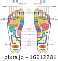 足つぼ名称 16012281