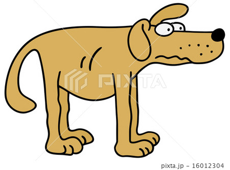 Funny yellow dog 16012304