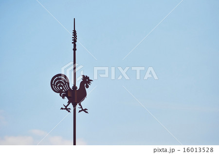 風見鶏 16013528