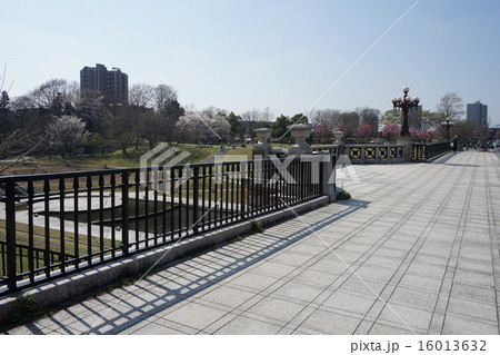 八王子市　都立　長池公園 16013632