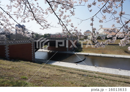 八王子市　都立　長池公園 16013633