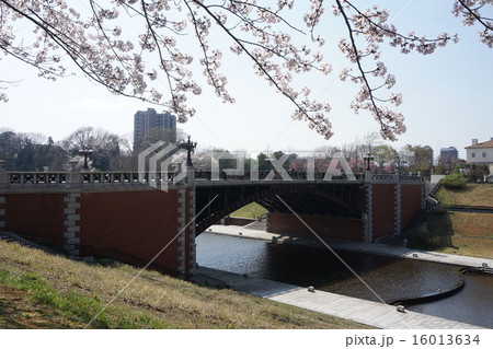 八王子市　都立　長池公園 16013634