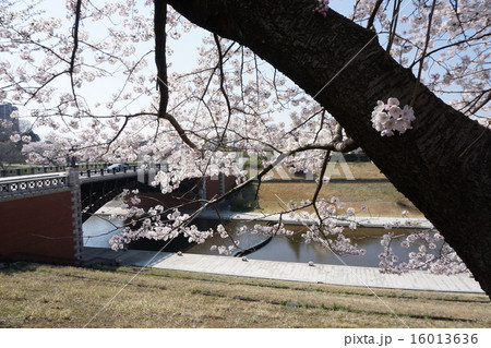 八王子市　都立　長池公園 16013636