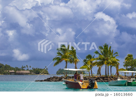 ボラボラ島 16013660