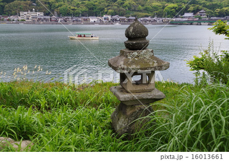 萩の橋本川の風景 16013661