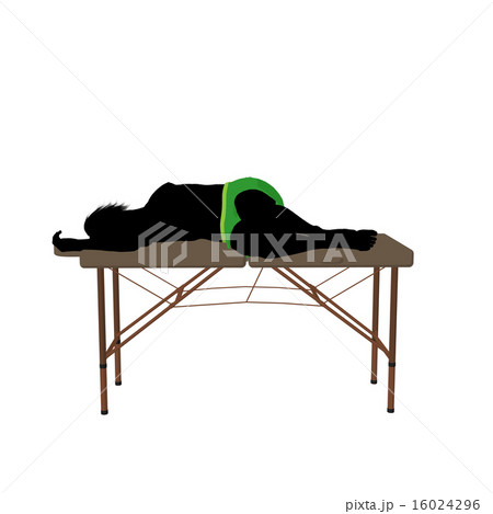 Massage Table Illustration Silhouette 16024296