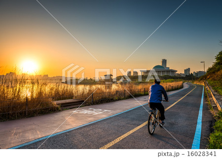Seoul Cyclist Seoul Cyclist 16028341