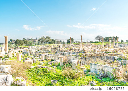 ウンム・カイス(ヨルダン北部) ウンム・カイス(ヨルダン北部) 16028725