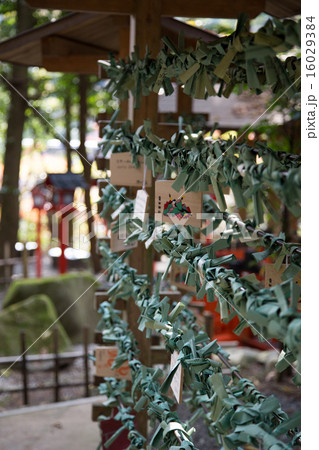 貴船神社、結社・中宮の結び文 16029384