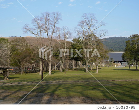 奈良県新公会堂の写真素材